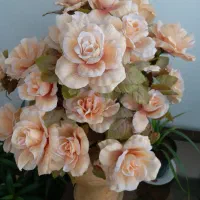 گل مصنوعی|گل مصنوعی|تبریز, |دیوار