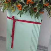 گول نسبتاً خوش شده