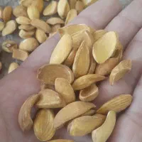مغز بادام و بادام|خوردنی و آشامیدنی|تهران, سلسبیل جنوبی|دیوار
