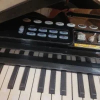 ارگ دستی کوچک باطری خور|پیانو، کیبورد، آکاردئون|تهران, ارامنه|دیوار