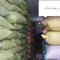 مرکز پخش عناب سنجد وحبه ارسال تمام نقاط ایران