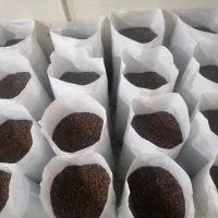 رستری و پخش قهوه