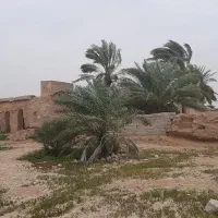 ۱۰۰۰زمین مسکونی باغ شهری باغک جنوبی مناسب باغ ویلا