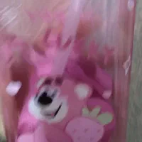 پخش و تولید قمقمه آب دخترانه|اسباب و اثاث بچه|تهران, جوادیه تهرانپارس|دیوار