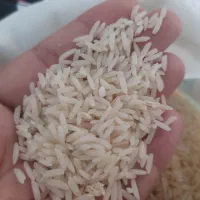 برنج ایرانی طارم هاشمی|خوردنی و آشامیدنی|یزد, |دیوار