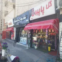 سایبان برقی کرکره برقی کامپوزیت(ابش زاده)|خدمات پیشه و مهارت|اردبیل, |دیوار