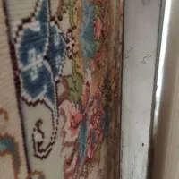 فرش مرینوس|فرش|بناب, |دیوار