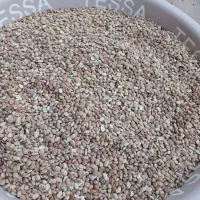 لوبیا اش ابگوشت اقتصادی