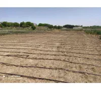 نسب و اجرای آبیاری قطره ای