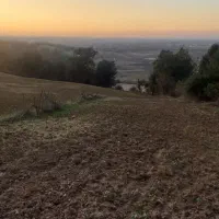 ۲ هکتار زمین دیم