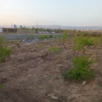 فروش-باغچه-550-متری-با-شرایط-ویژه