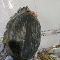 مجسمه پلی استر|مجسمه، تندیس، ماکت|کرمانشاه, |دیوار