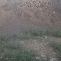 زمین مسکونی