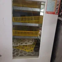 دستگاه جوجه کشی ۹۰تایی