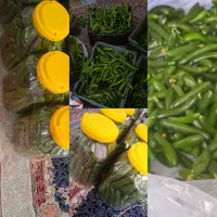 خیارشور محلی