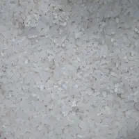 فروش نیم دانه هاشمی|خوردنی و آشامیدنی|تالش, هشتپر|دیوار