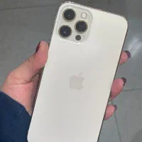 12promax 256|موبایل|مشهد, سید رضی|دیوار