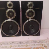 یک جفت باند ویکتور ۱۰۰ وات d5