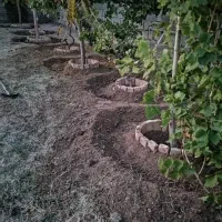 خاک باغچه درجه 1مخصوص باغچه ودرختکاری بانیسان|خدمات باغبانی و درختکاری|زاهدان, |دیوار