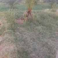 یک-ساعت-آب-و-زمین-به-فروش-میرسد