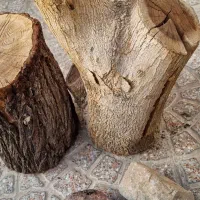 تنه درخت|صنایع دستی و سایر لوازم تزئینی|ساوه, |دیوار