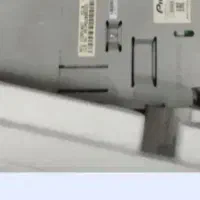 ظبط