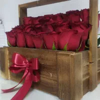 گل رز قرمز سالم با گلدان چوبی زیبا|گل و گیاه طبیعی|تهران, نظامی گنجوی (توانیر)|دیوار
