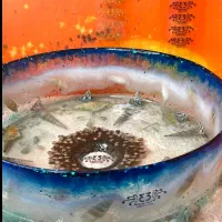 مدل روشویی|صنایع دستی و سایر لوازم تزئینی|قشم, |دیوار