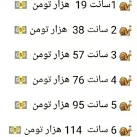 حلزون وخاویار|خزنده|زنجان, |دیوار