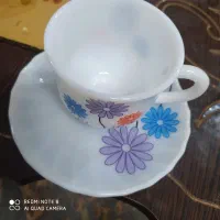 فنجان و نعلبکی|ظروف سرو و پذیرایی|نیشابور, گنبد سبز|دیوار
