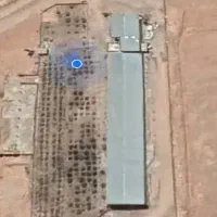 کارگر فنی مرغداری