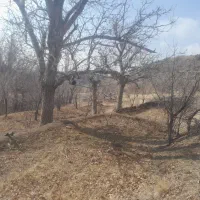 باغ-روستای-شاره