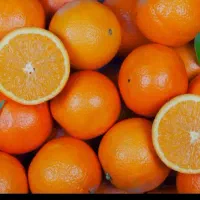 فروش پرتغال