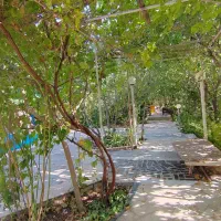 اجاره باغ با صفا|اجارهٔ کوتاه‌مدت ویلا و باغ|خمینی‌شهر, |دیوار