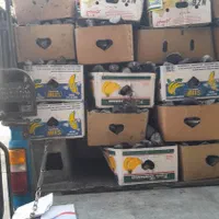 زغال فروشی عمده