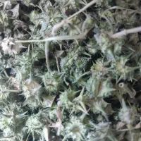 خارخاسک|خوردنی و آشامیدنی|رضویه, |دیوار