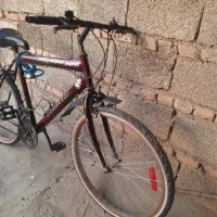 دوچرخه سالم