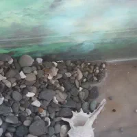 آکواریوم|لوازم جانبی حیوانات|محمدیه-قزوین, |دیوار