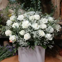 ماشین عروس تاج ترحیم باکس گل زیر قیمت|گل و گیاه طبیعی|لنگرود, |دیوار