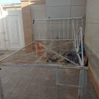 تخت آهنی|تخت و سرویس خواب|تربتحیدریه, باغ سلطانی|دیوار