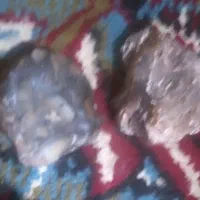 سنگ های قیمتی|جواهرات|نیمروز, |دیوار