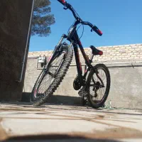 دوچرخه ویوا اصل