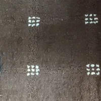 پالاز موکت