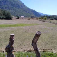 زمین|فروش زمین و ملک کلنگی|تالش, تالش|دیوار