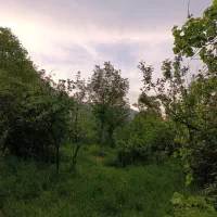 فروش سیم کارت ۹۱۲۹۱۵۲۷۵۵ بدون زنگ خوری