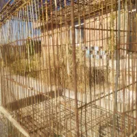 تعدادی قفس،،قناری سهره مرغ عشق ،،عروس وطوطی|لوازم جانبی حیوانات|شیراز, بید زرد|دیوار