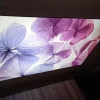 مجری انواع سقف های کشسان
