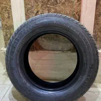 لاستیک نو