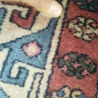 قالی 5متری دستبافت زنجان|فرش|تهران, اتابک|دیوار