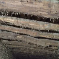 فروش چوب سالم